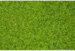 Noch 07097 декор Дикая трава.светло-зеленый.12 мм.  80 g