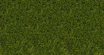 Noch 07099 декор Дикая трава. темно-зеленый.12мм. 80 g