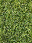 Archimed 66523 декор Трава для флокатора 5-6 мм 50 г. /темно-зеленая/
