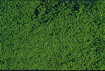 Archimed 66722 декор Лиственный покров микро 200 мл.. /темно-зеленый/
