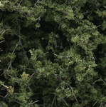 Woodland Scenics F1131 декор Веточки с обсыпкой (зеленые) 1229см3.Могут быть использованы как деревья или как материал для их изготовления
